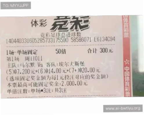 竞彩网首页官方渠道与第三方平台哪个可靠？